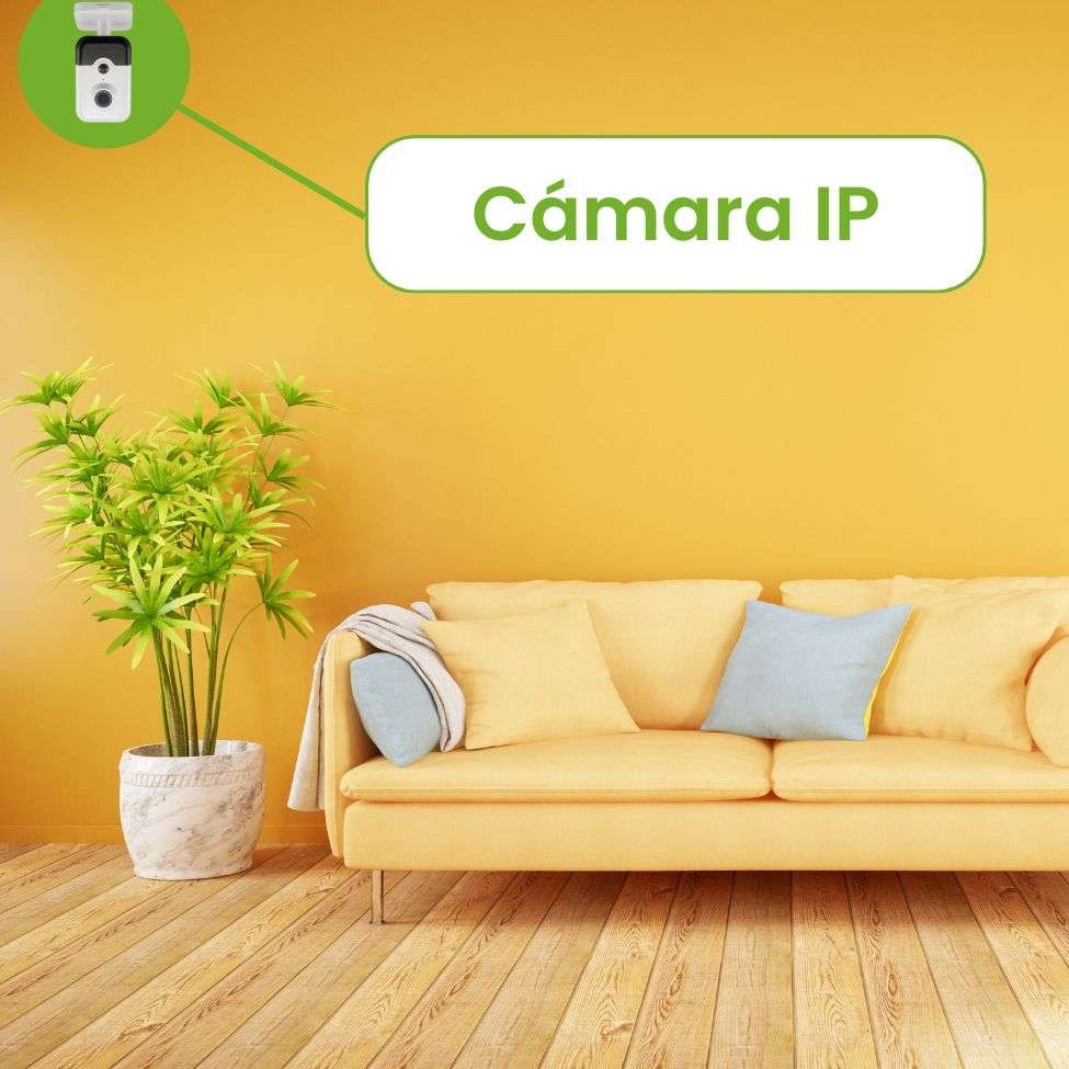 cámara IP